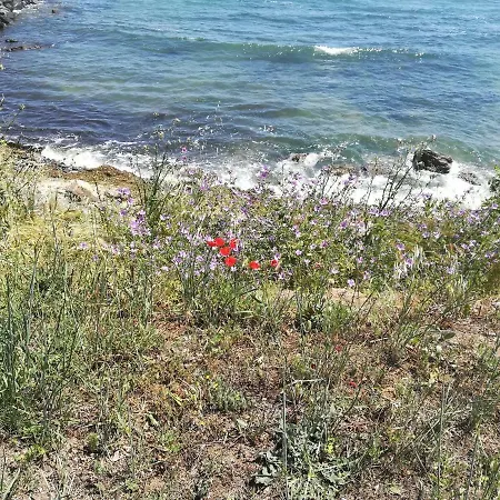 Ξενοδοχείο Diva Ράβντα