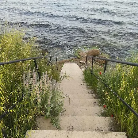 Diva 2* Ράβντα