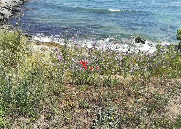 Szálloda Diva Ravda